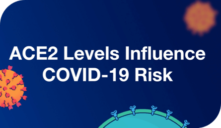 Video explaining how ACE2 levels can influence an individual's risk for COVID-19.