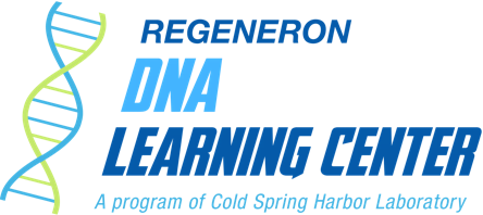Regeneron DNA Learning Center