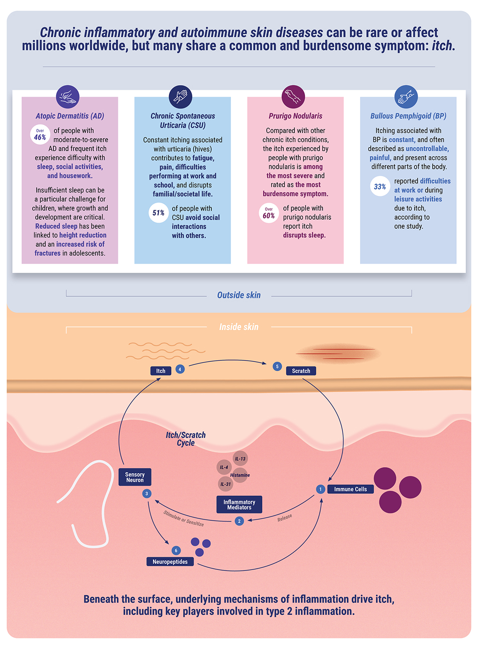 Chronic inflammatory and autoimmune skin diseases overview with the different skin layers