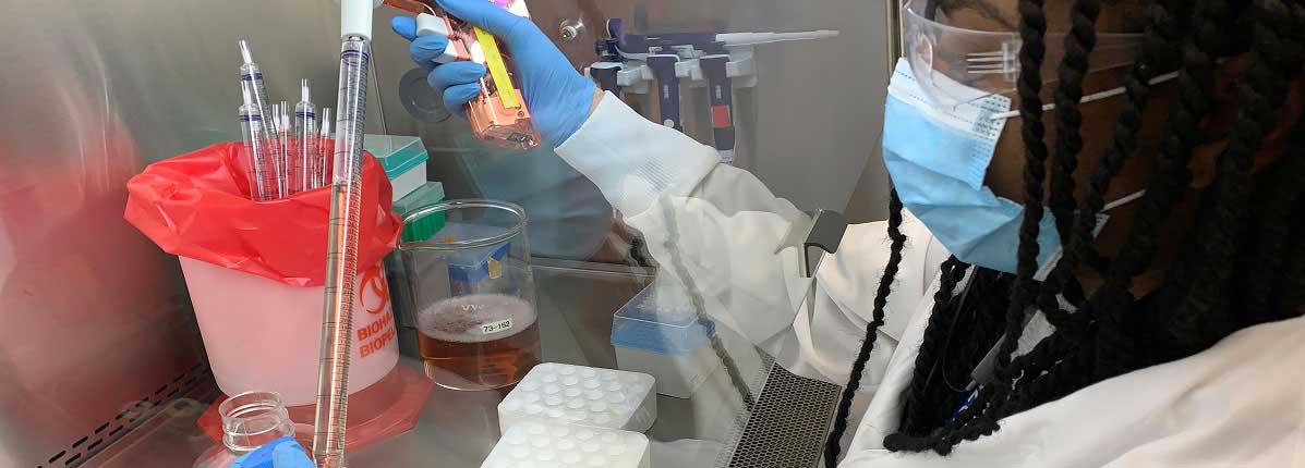 Technician studying infectious diseases