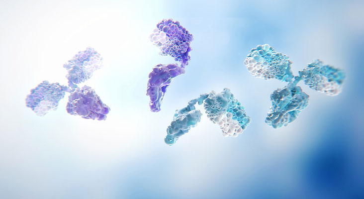 Bispecific antibodies