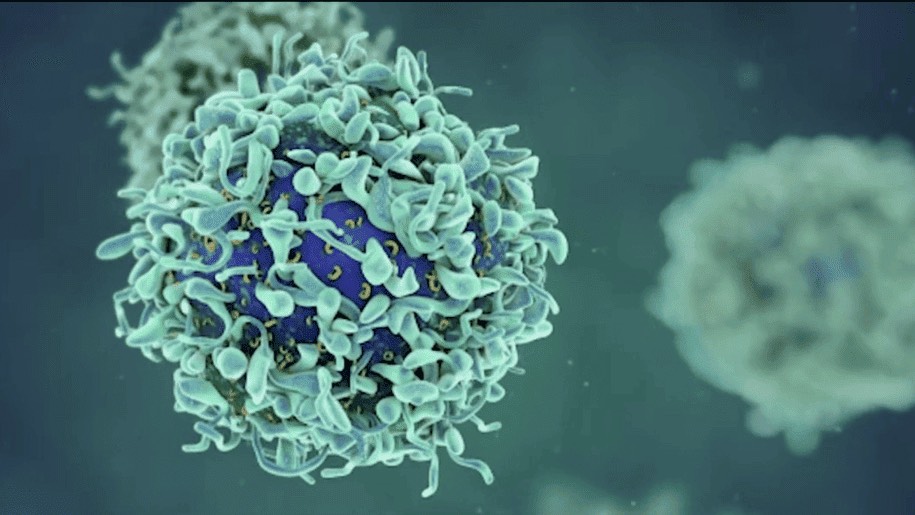 Behind the Science: Paving the Way for Oncology Research video.