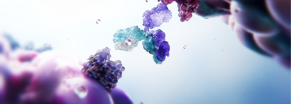 CD28 costimulatory bispecific antibodies