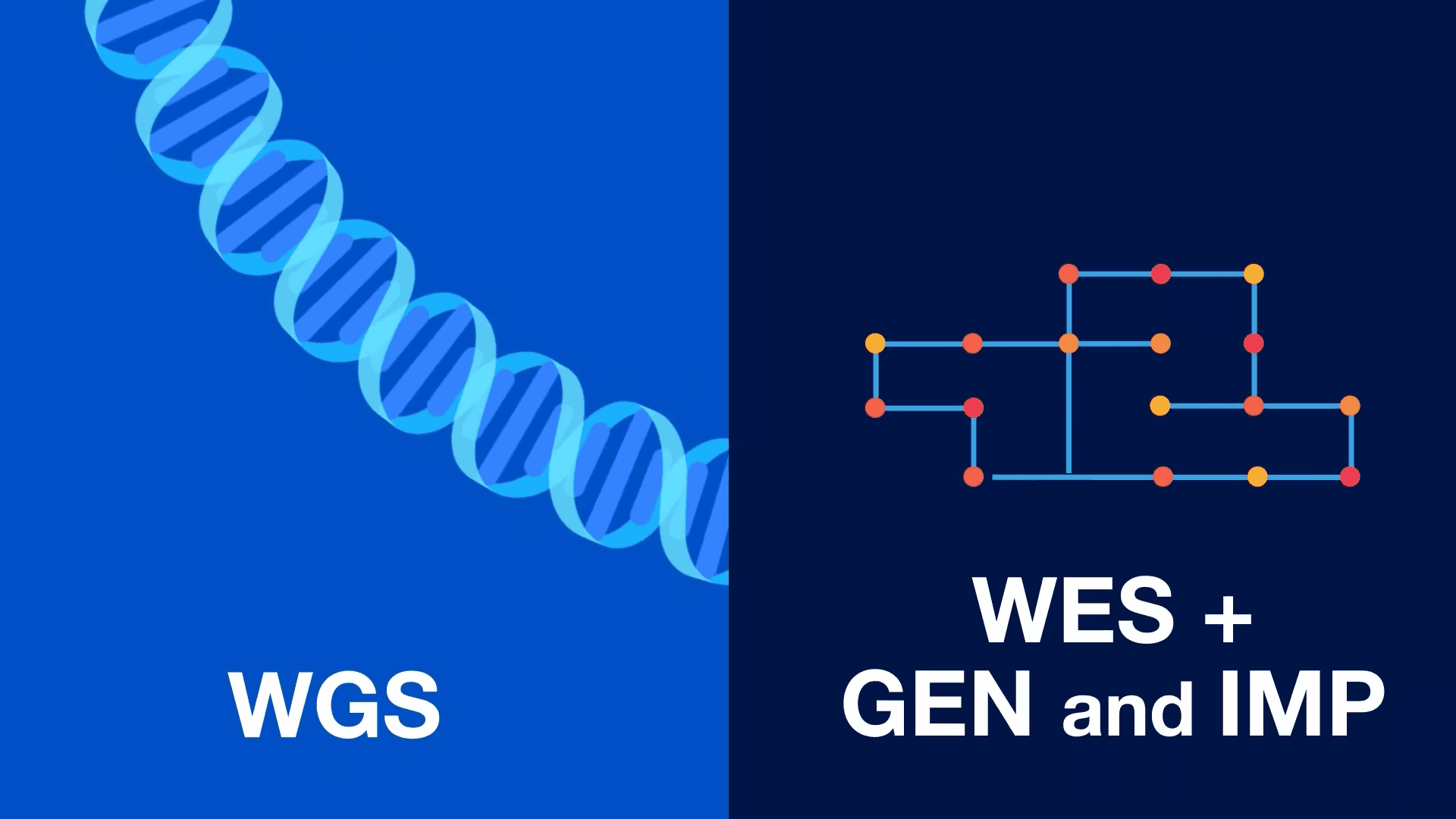  WGS and WES + GEN and IMP video thumbnail.
