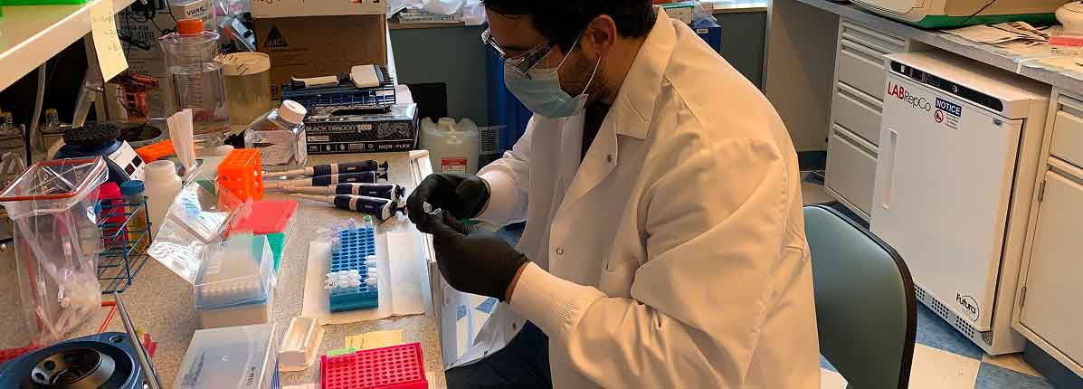 A scientist working at a desk