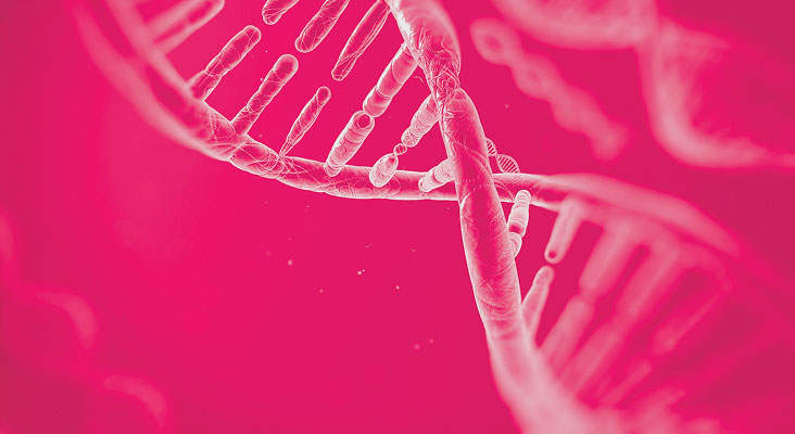 DNA strand