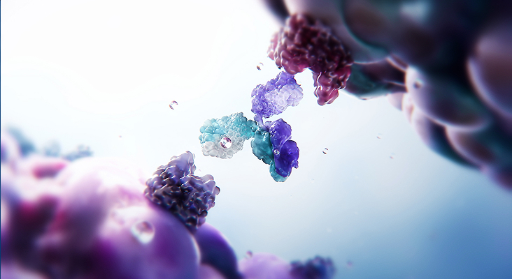 CD28 costimulatory bispecific antibodies