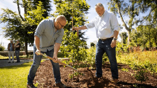  Two people working together to plant a tree