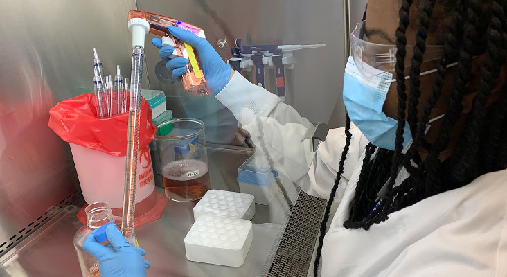 Technician studying infectious diseases