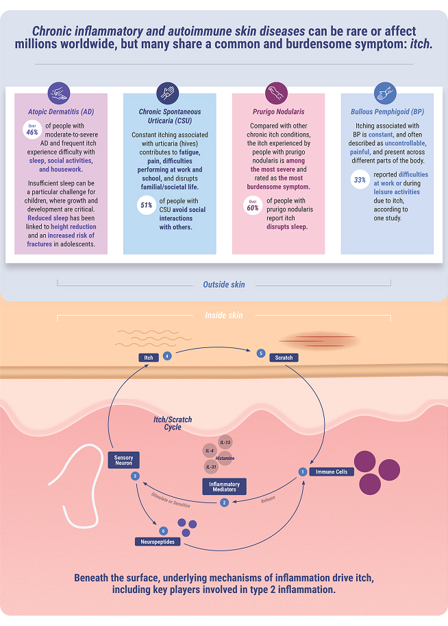 Chronic inflammatory and autoimmune skin diseases overview with the different skin layers