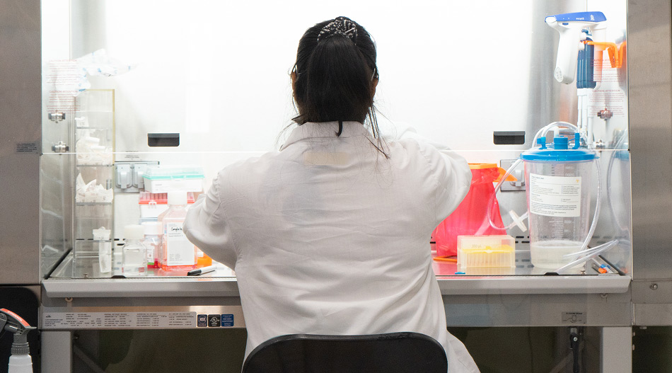  Scientist working in a lab