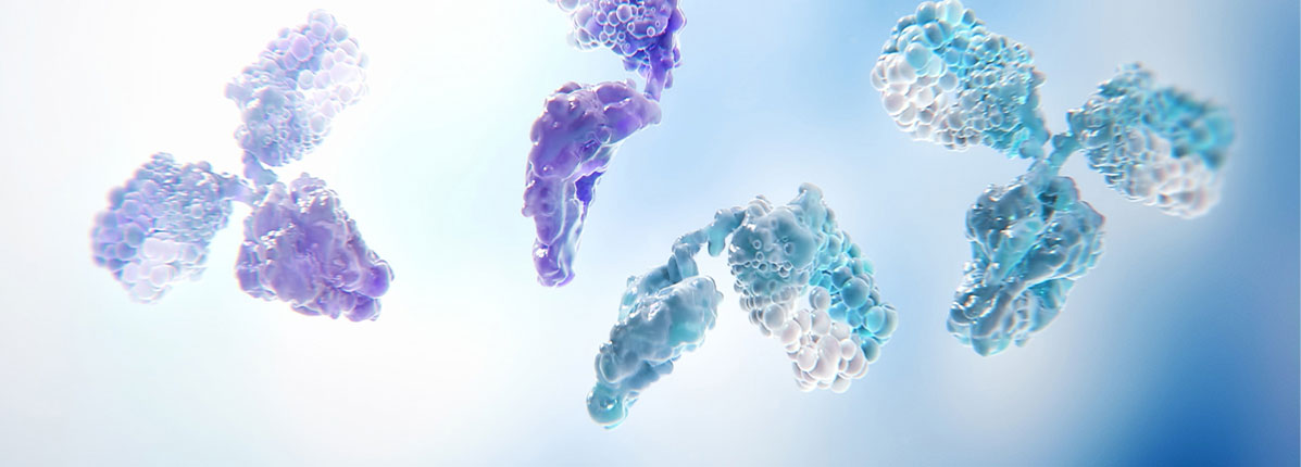 Bispecific antibodies